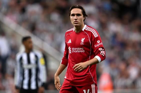 陈意涵否认,张钧甯年底,婚讯,宝威体育官网,APP下载,注册领彩金,官方网站,网站入口