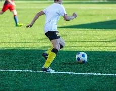 扬帆海港,荣耀加冕,奥斯卡官方,宝威体育官网,APP下载,注册领彩金,官方网站,网站入口